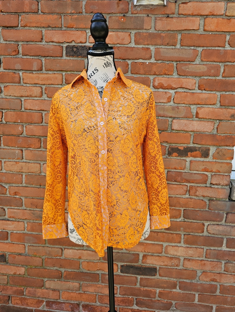 Vintage Jewel Lace Blouse Mustard Yellow Sheer Button Down Top Boho Romantic Med